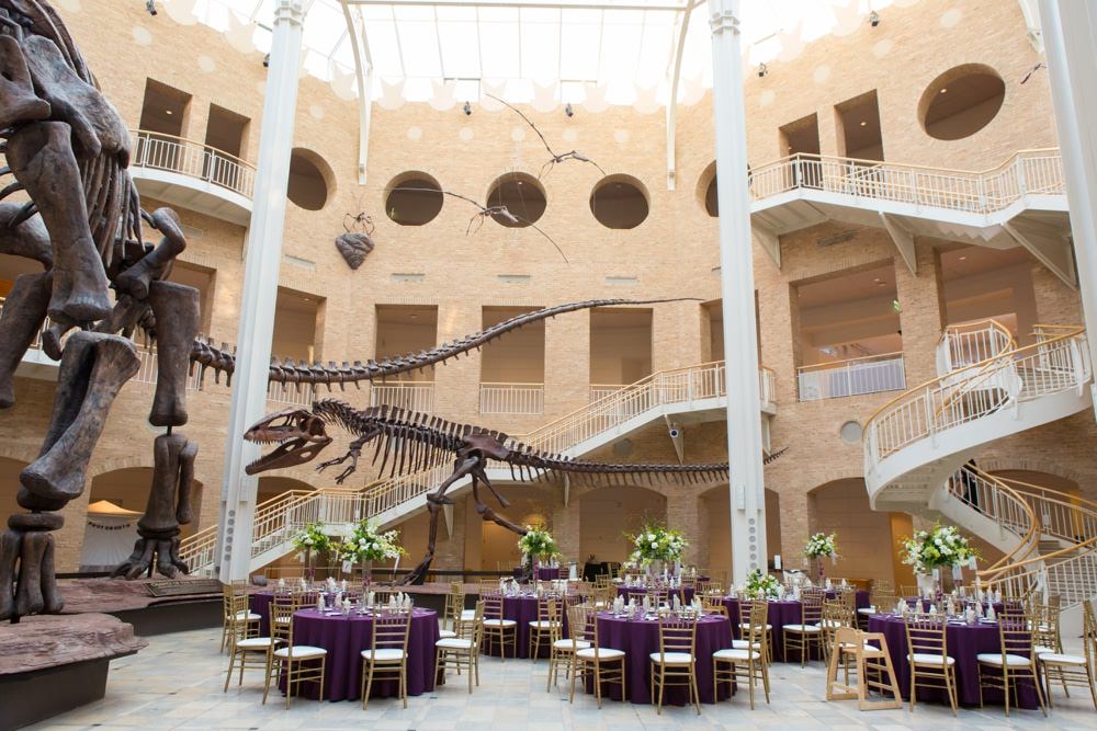 Chancey Charm Atlanta, Atlanta Wedding Venue, Fernbank Museum, Unique Wedding Venue