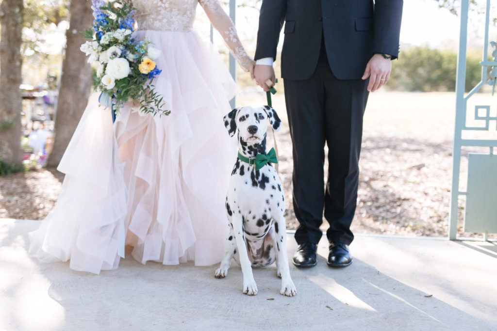 Need some ideas of how to include your dog in your wedding? The Chancey Charm Team is sharing some unique and fun ways you can include your beloved fur baby in your wedding. #furbaby #weddingplanningtips #chanceycharm