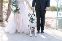 Wedding couple with black and white spotted dog