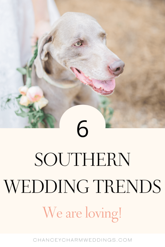 SFrom naming your signature drink after your beloved pup to tying in a nod to your alma mater, we're excited to share six Chancey Charm approved southern wedding trends we're currently loving.
