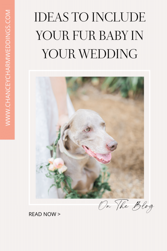 Ideas to include your fur baby in your wedding