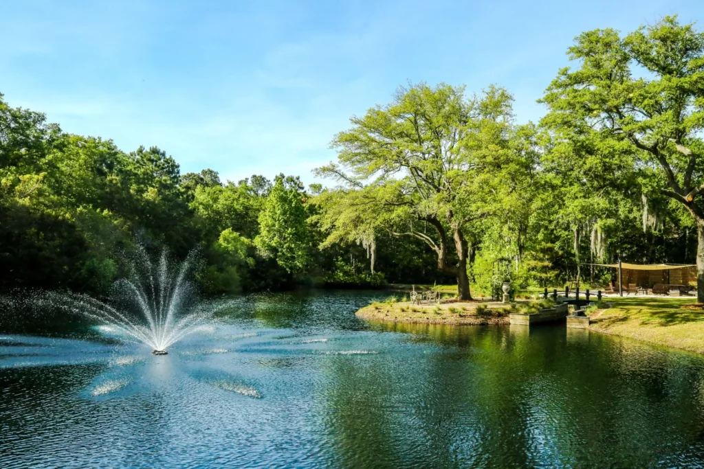 Hart Meadows Ranch, Charleston Wedding Venue, Charleston Wedding Planning