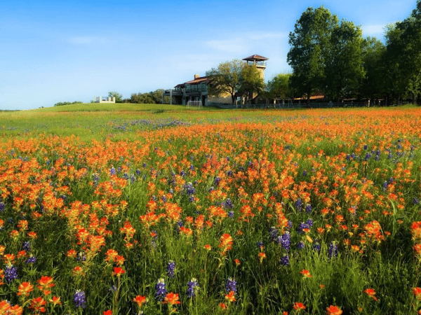 PermaVista Ranch, Houston Wedding Venue, Houston Weddings